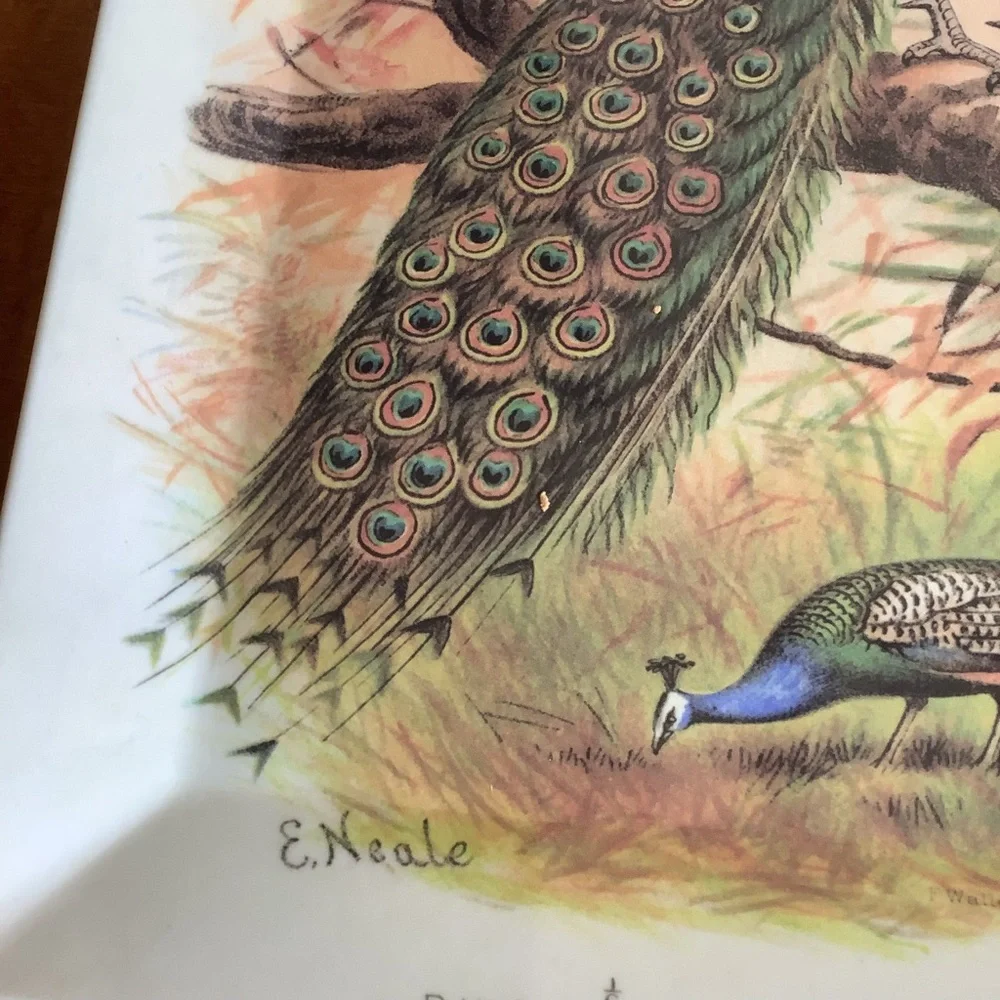 Pottery Barn Peacock Design Melanine Tray